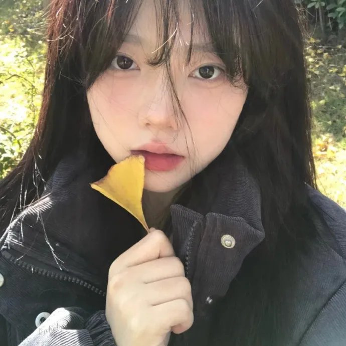 不可思议的海岸物语